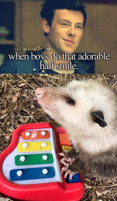 opossum aaaaaa - justgirly things when boys do that adorable half smile.