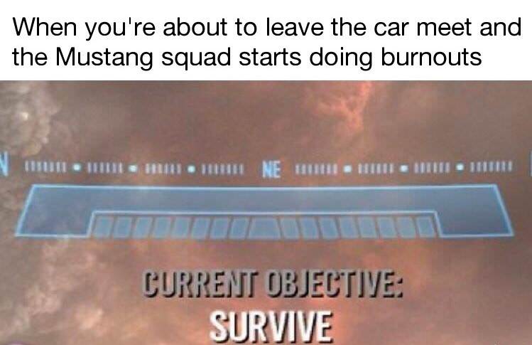 survive meme current objective survive - When you're about to leave the car meet and the Mustang squad starts doing burnouts n N E Hii Ni Biti Current Objective Survive