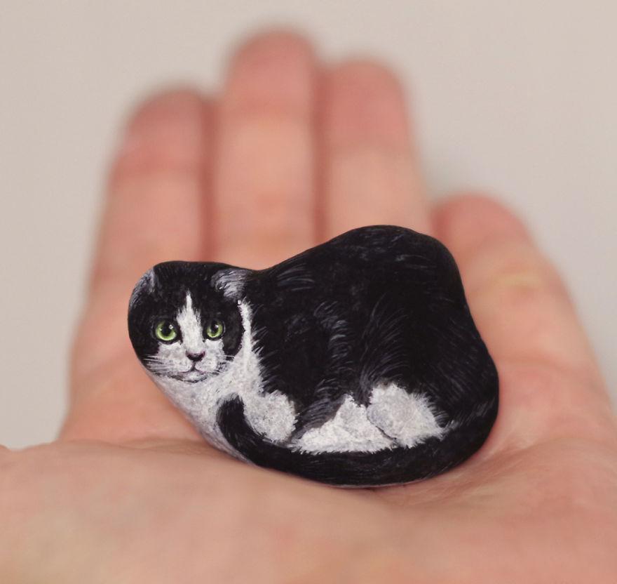 japanese artist gives life to rocks