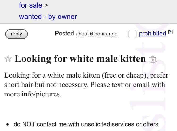 craigslist bank - for sale > wanted by owner Posted about 6 hours ago prohibited 2 Looking for white male kitten E Looking for a white male kitten free or cheap, prefer short hair but not necessary. Please text or email with more infopictures. do Not cont