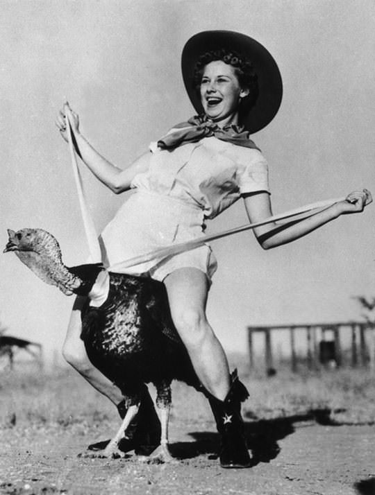 A model riding a turkey somewhere in the US, 1940.