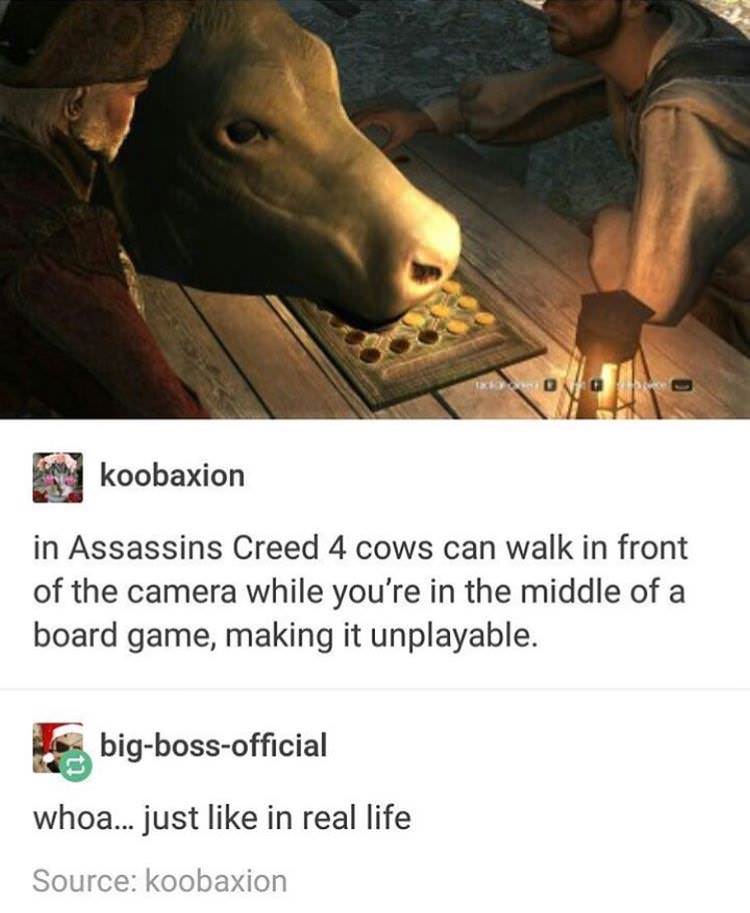 funny gaming memes -  sjw in gaming memes - koobaxion in Assassins Creed 4 cows can walk in front of the camera while you're in the middle of a board game, making it unplayable. bigbossofficial whoa... just in real life Source koobaxion