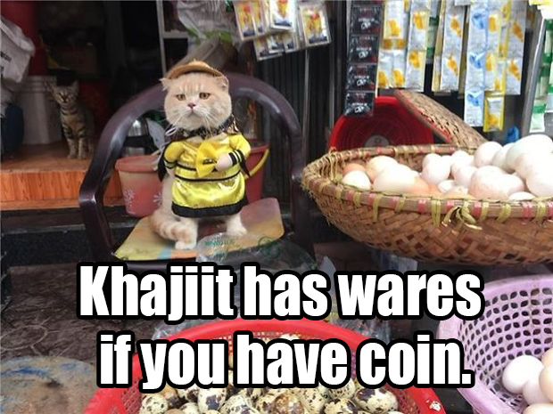 funny gaming memes - Khajiit has wares. if you have coin.