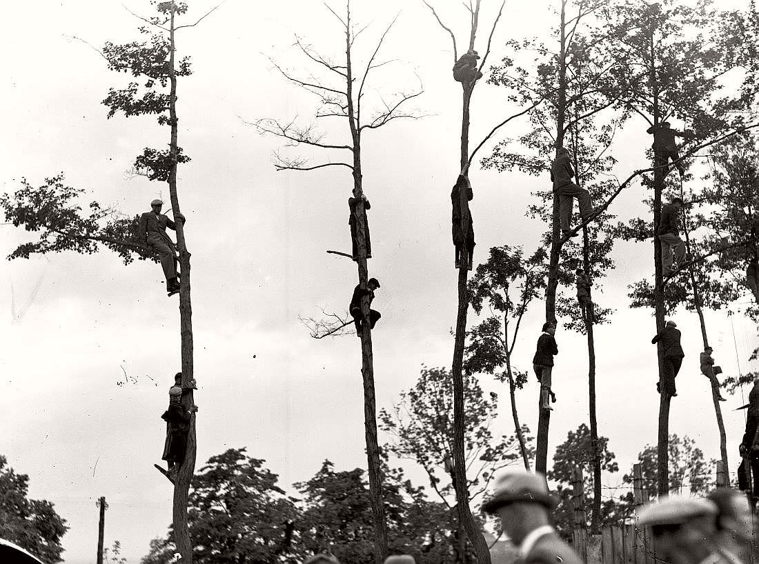 Fans on the trees during football match TS Wisla Krakow – Chelsea FC. in Krakow, 1936.