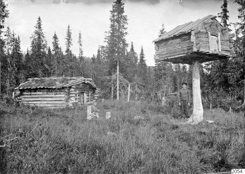 A boy underneath a treehouse in a small village somewhere in Russia, 1910.