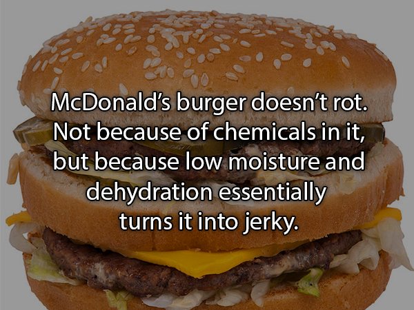 15 Tasty Hamburger Facts That Will Make Your Mouth Water