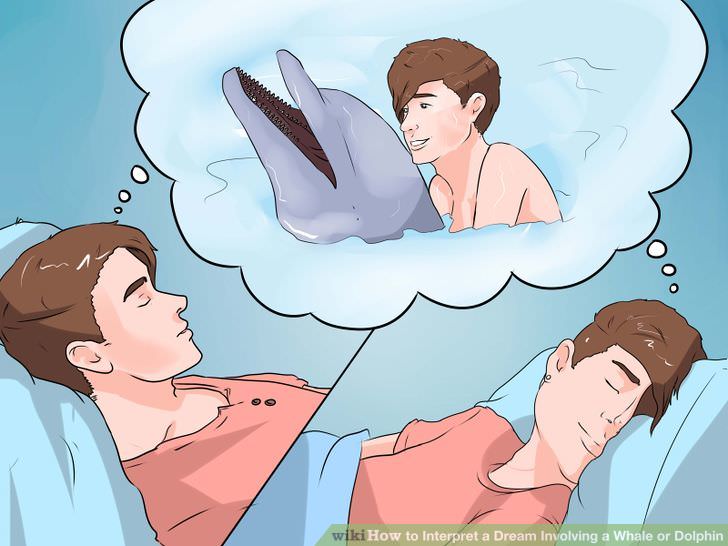 wikihow dolphin sex - wikiHow to Interpret a Dream Involving a Whale or Dolphin