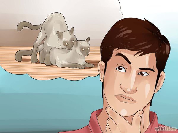 out of context wikihow - wikiHow