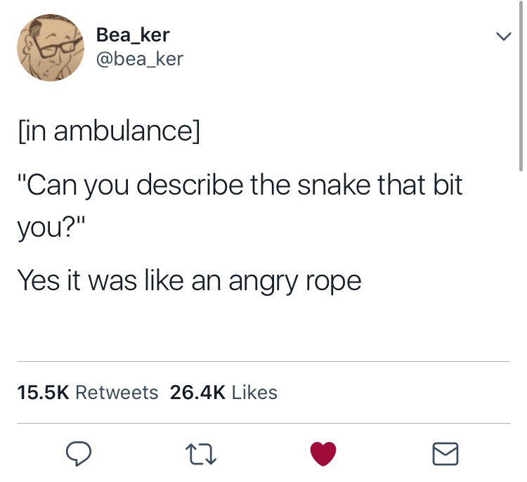 funny tweet angle - Bea_ker in ambulance "Can you describe the snake that bit you?" Yes it was an angry rope