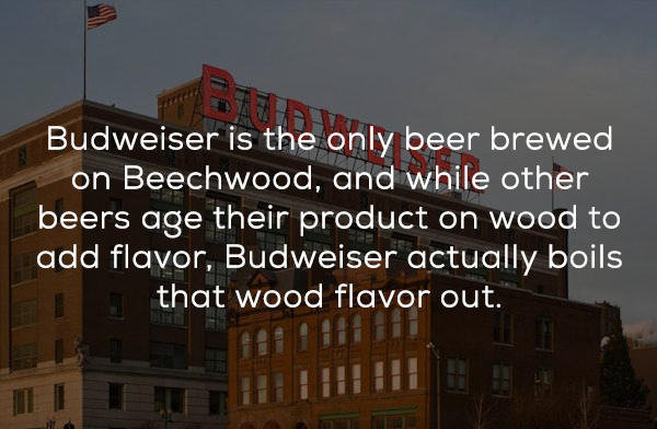 toms shoes one for one - Budweiser is the only beer brewed on Beechwood, and while other beers age their product on wood to add flavor, Budweiser actually boils Ll that wood flavor out.
