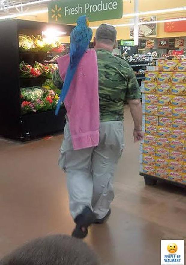 27 Photos That Could've Been Taken Only In Walmart