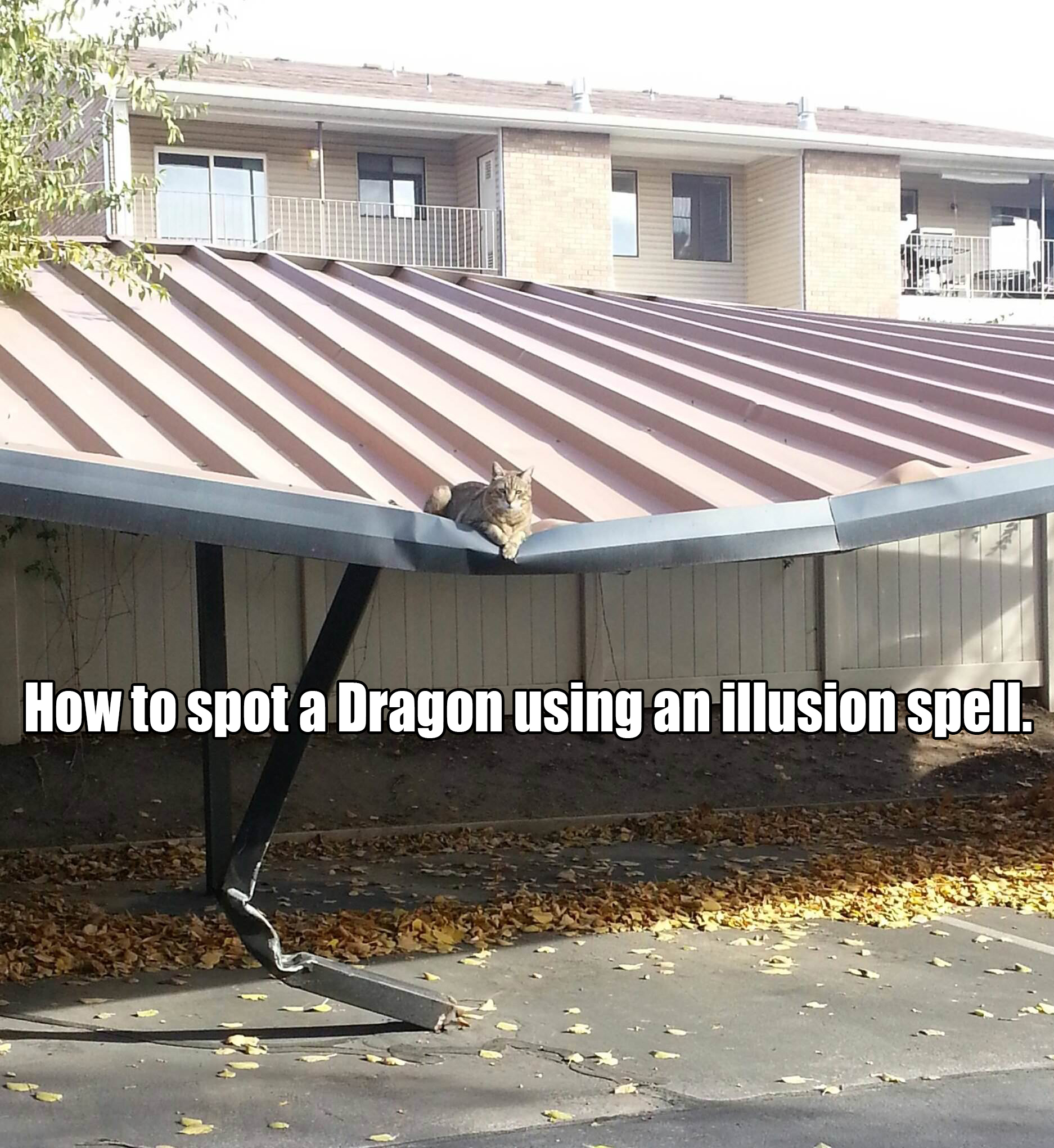 dragon illusion spell - Me How to spot a Dragon using an illusion spell.