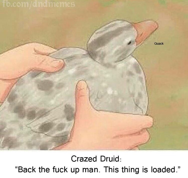 hold birb - fb.comdndmemes Quack Crazed Druid "Back the fuck up man. This thing is loaded."
