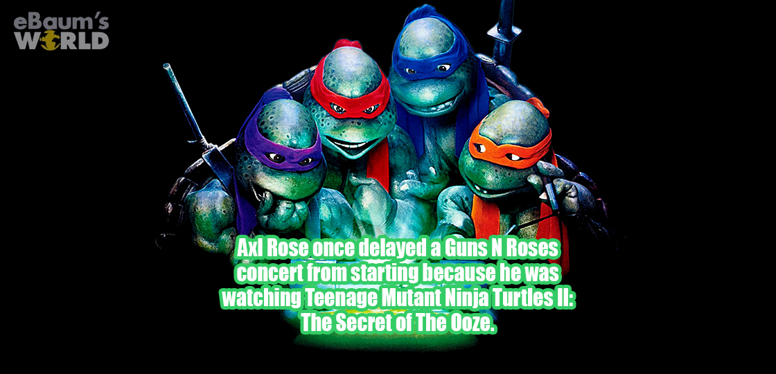 teenage mutant ninja turtles secret of the ooze - eBaum's World Me Axl Rose once delayed a Guns N Roses concert from starting because he was watching Teenage Mutant Ninja Turtles Ii The Secret of The Ooze.