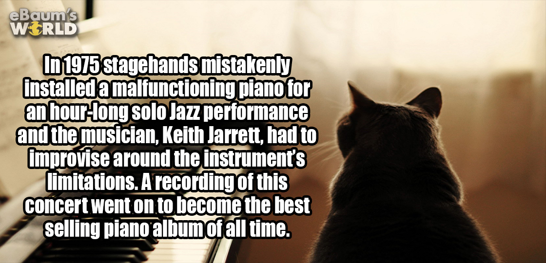 anti joke chicken - eBaum's World In 1975 stagehands mistakenly installed a malfunctioning plano for an hourlong solo Jazz performance and the musician, Keith Jarrett, had to improvise around the instrument's limitations. A recording of this concert went 