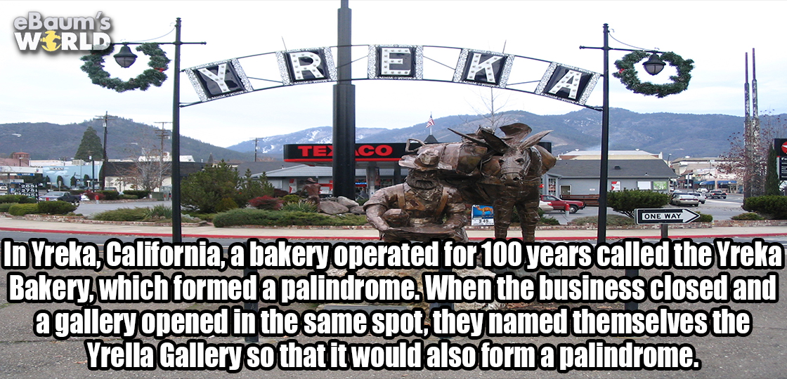 sorry it took so long - eBaum's Wirld In Yreka, California, a bakery operated for 100 years called the Yreka Bakery, which formed a palindrome. When the business closed and a gallery opened in the same spot, they named themselves the Yrella Gallery so tha