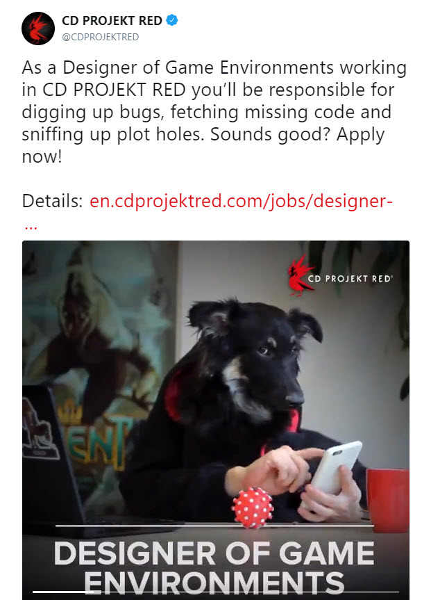 photo caption - Cd Projekt Red As a Designer of Game Environments working in Cd Projekt Red you'll be responsible for digging up bugs, fetching missing code and sniffing up plot holes. Sounds good? Apply now! Details en.cdprojektred.comjobsdesigner Cd Pro
