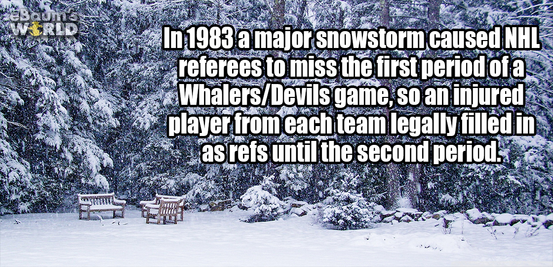 funny - Luce Mozioni In 1983 a major snowstorm caused Nhl referees to miss the first period of a WhalersDevils game, so an injured player from each team legally filled in as refs until the second period. Usu