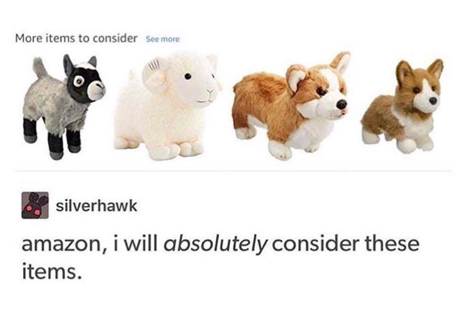 19 Amazing Amazon Memes That Will Ship You Some Happiness
