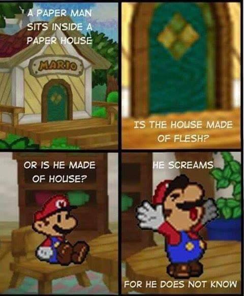 paper mario meme - A Paper Man Sits Inside A Paper House Mardo Is The House Made Of Flesh? He Screams Or Is He Made Of House? For He Does Not Know