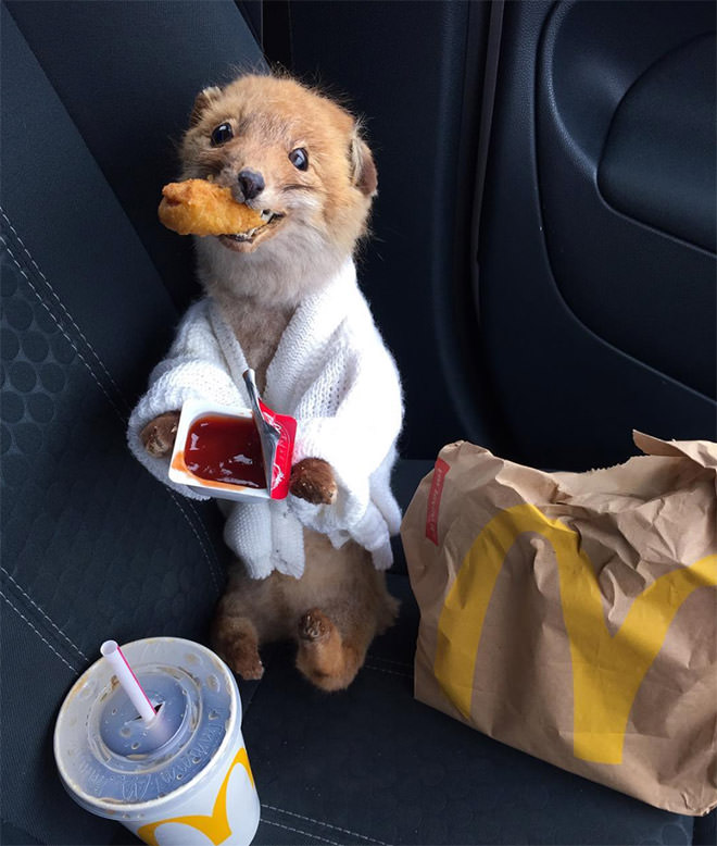 The Adventures Of This Lady And Her Taxidermied Fox Will Creep You Out