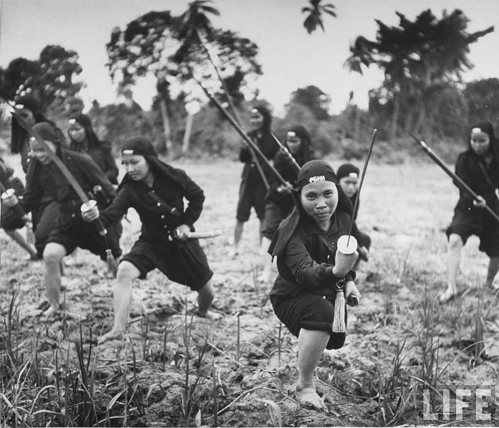 Hoa Hao women fighters training for jungle combat in French Indochina in 1948. LIFE magazine took these pictures of women units trained by the French to help combat possible insurgents in the heavy jungle of French Indochina. They would be trained with spears and swords as well as guns. Most of the pictures from this shoot has the women showing off their swords and spears. The First Indochina War (part of WWII), the Second Indochina War, and the Vietnam War saw heavy jungle combat. Women were heavily involved in all 3 wars and in the last 2 on both sides, being trained for combat and used in a variety of ways against the enemy.