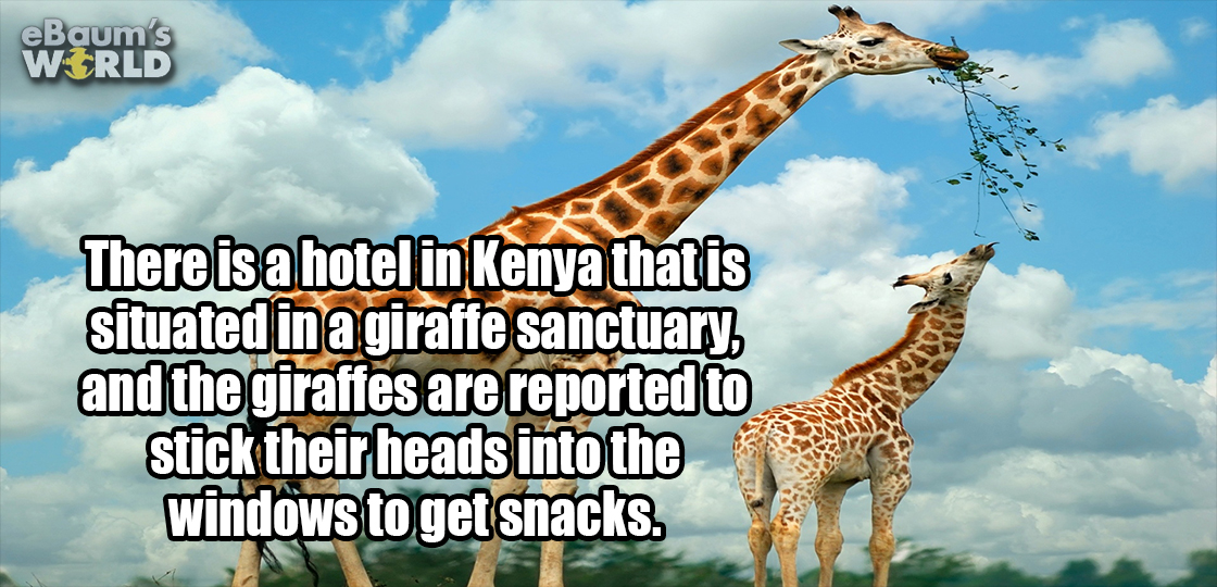 23 Fascinating Facts That Will Make Your Blood Boil