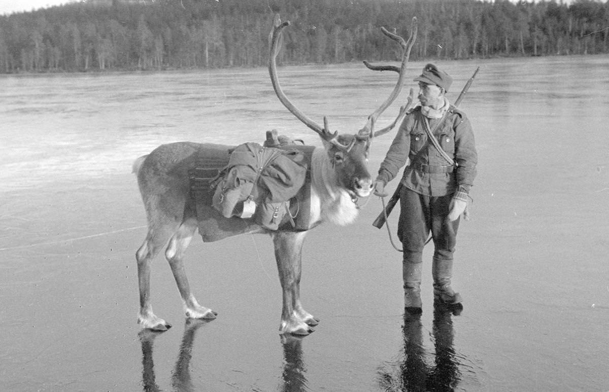 finland world war 2