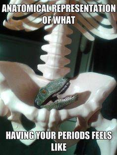 anatomical representation of period - Anatomical Representation Of What Having Your Periods Feels