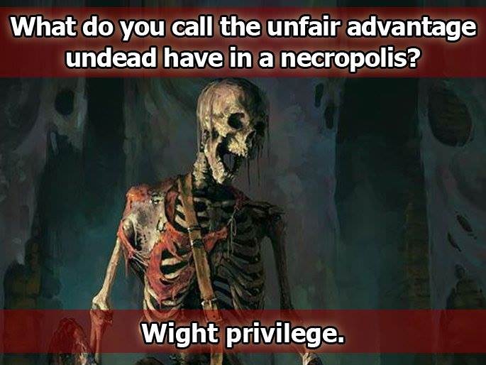 memes - d&d dad jokes - What do you call the unfair advantage undead have in a necropolis? Wight privilege.