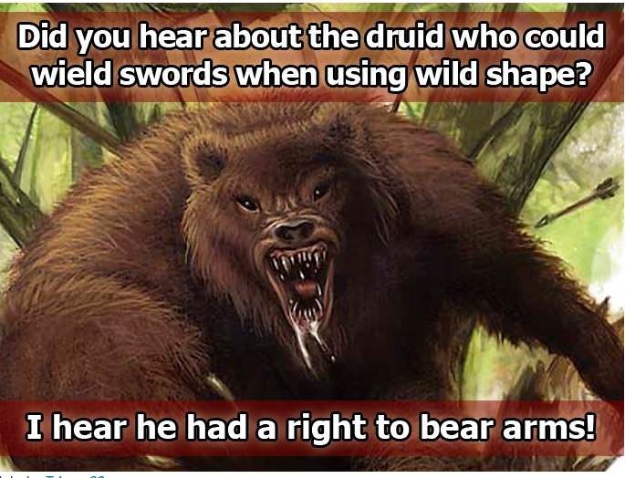 memes - d&d jokes puns - Did you hear about the druid who could wield swords when using wild shape? I hear he had a right to bear arms!