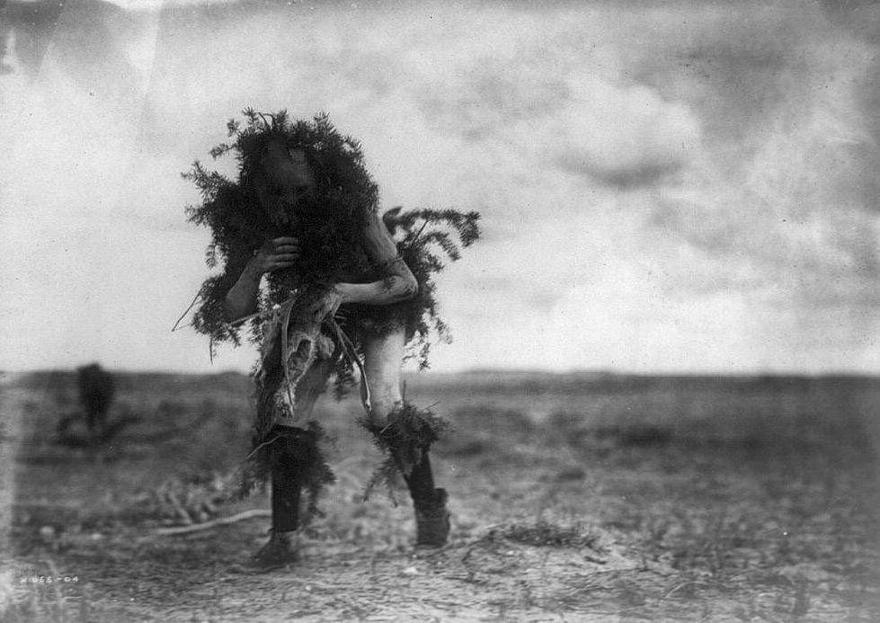 A Tonenili-Navajo Indian dresses as Yebichai (the beggar) using in spruce branches near Seattle, US in 1914.