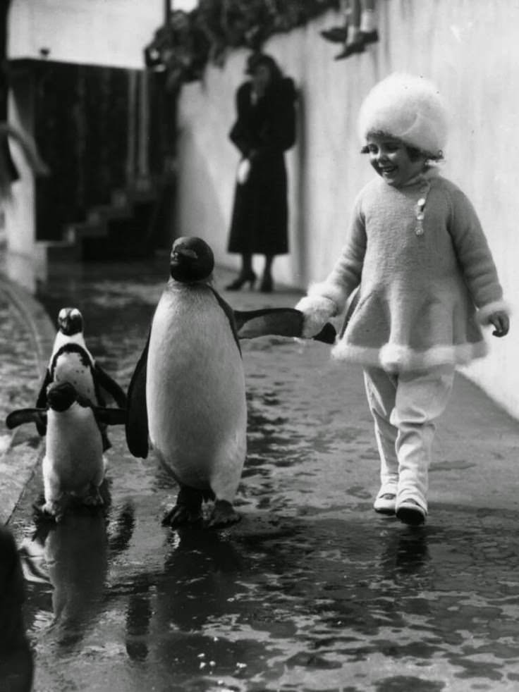 A young girl walks with penguins at the London Zoo in England, 1937.