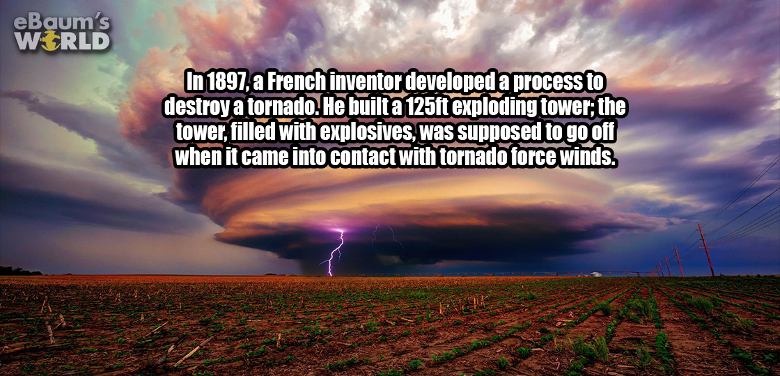 21 Fascinating Facts To Help Start Of Your Week