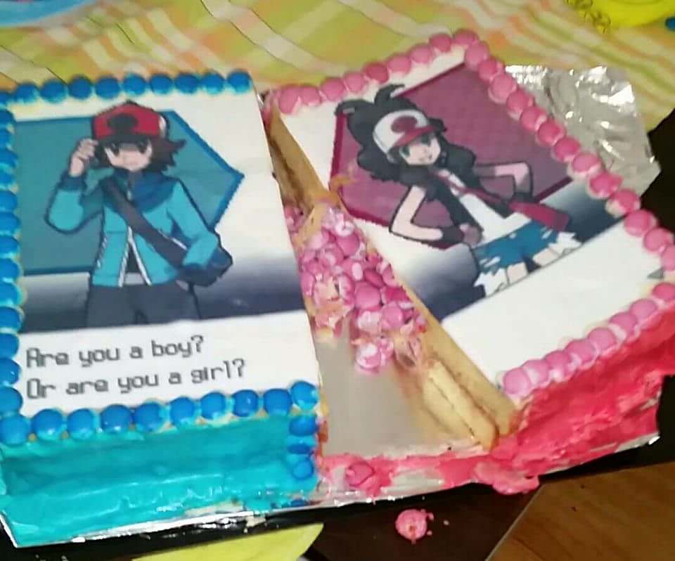 pokemon gender reveal cake - Are you a boy? Or are you a girl?