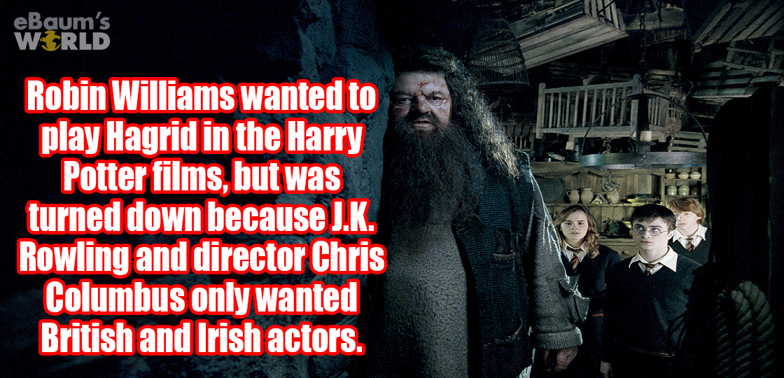 beard - eBaum's World Robin Williams wanted to play Hagrid in the Harry Potter films, but was turned down because J.K. Rowling and director Chris Columbus only wanted British and Irish actors.