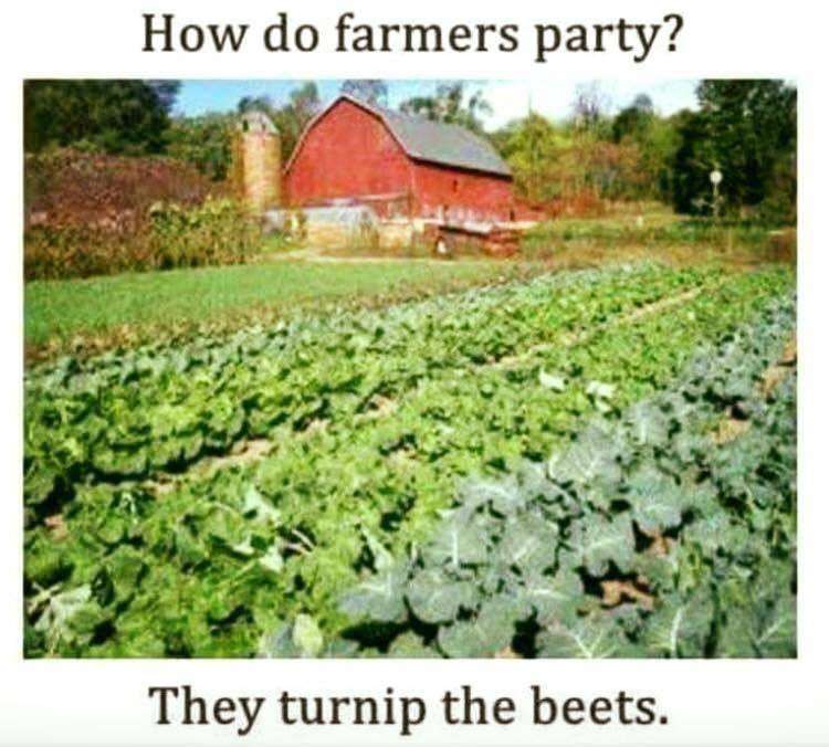 corny farm jokes - How do farmers party? They turnip the beets.