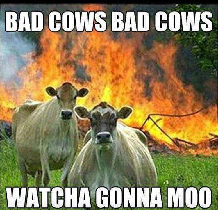 igreja nossa senhora do carmo (ouro preto) - Bad Cows Bad Cows Watcha Gonna Moo