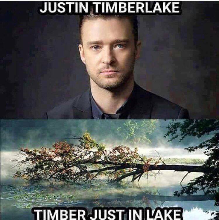 funny justin timberlake memes - Justin Timberlake . Timber Just In Lake