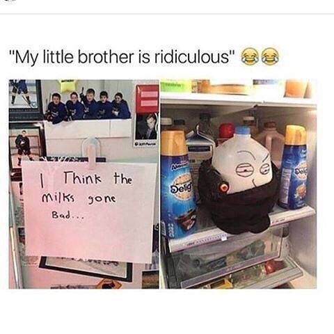 think the milk's gone bad meme - "My little brother is ridiculous" 23 O Selo I Think the milks gone Bad...
