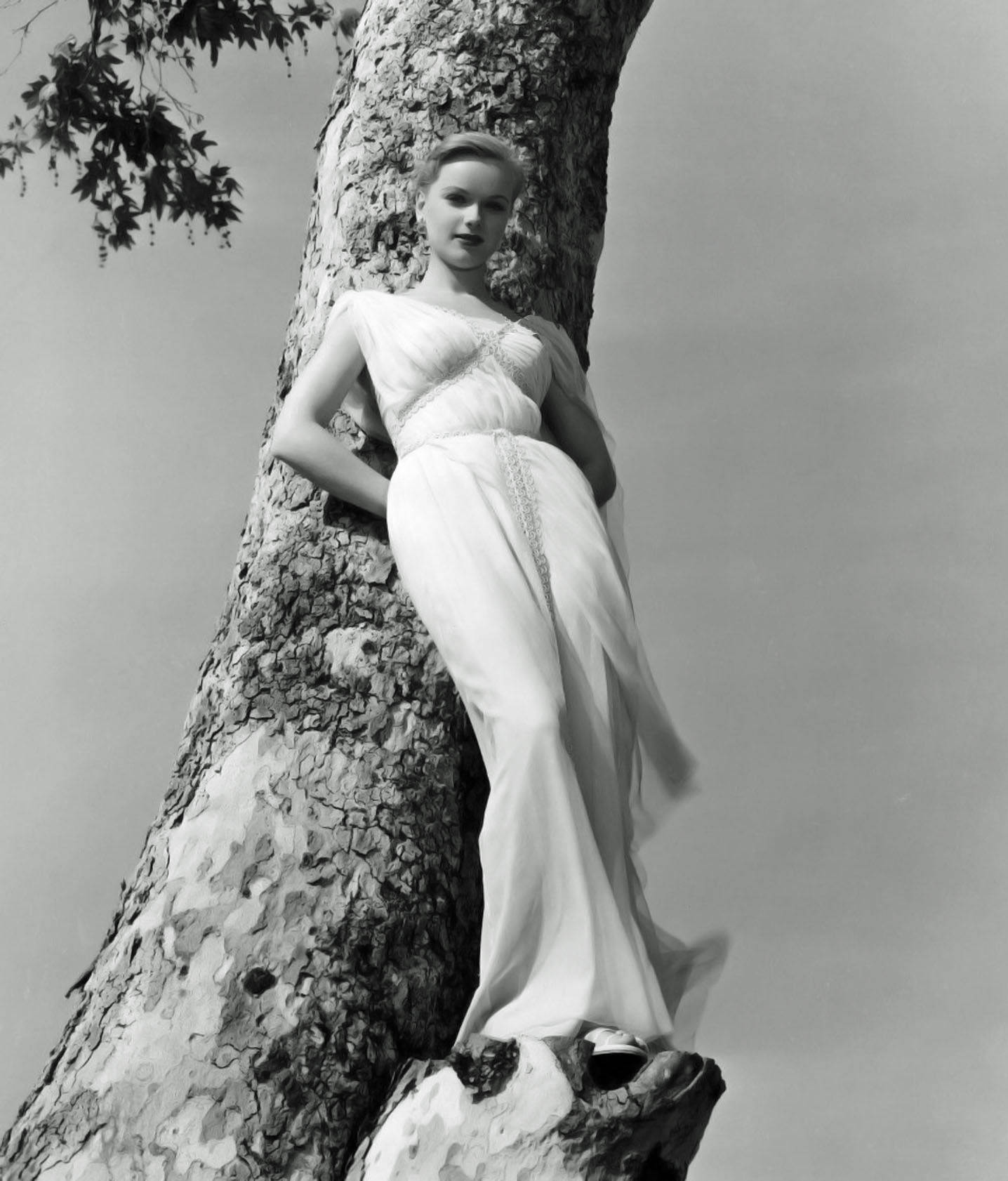 Historical Photos Of Model And Actress Ann Francis To Show You That