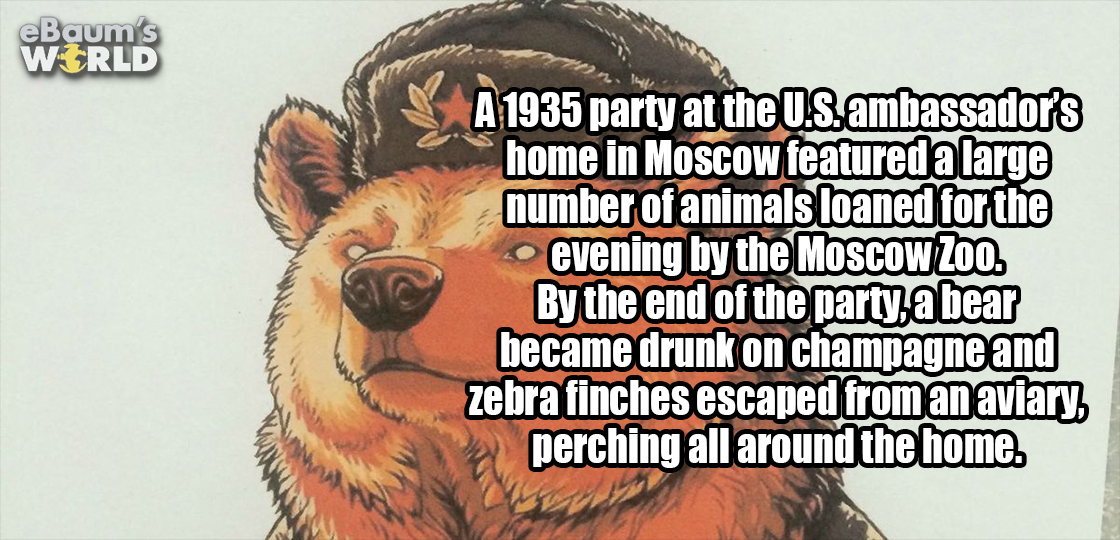 22 Fascinating Facts To Start Your Week Right