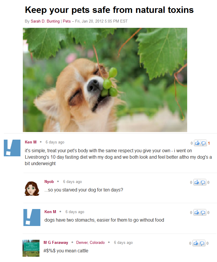 The Best of Ken M, Our favorite Internet Jokester