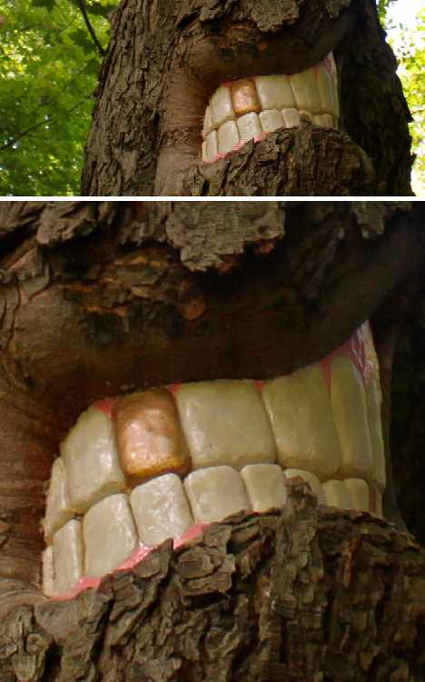 Things With Teeth That  Have No Business Having Teeth