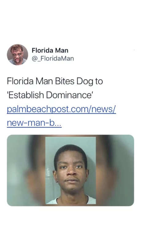 florida man new - Florida Man Man Florida Man Bites Dog to 'Establish Dominance' palmbeachpost.comnews newmanb...