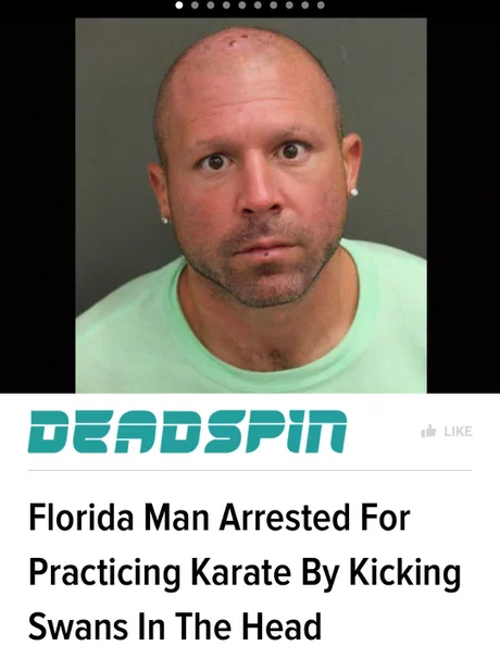 florida man 11 22 - Dendspit de Florida Man Arrested For Practicing Karate By Kicking Swans In The Head