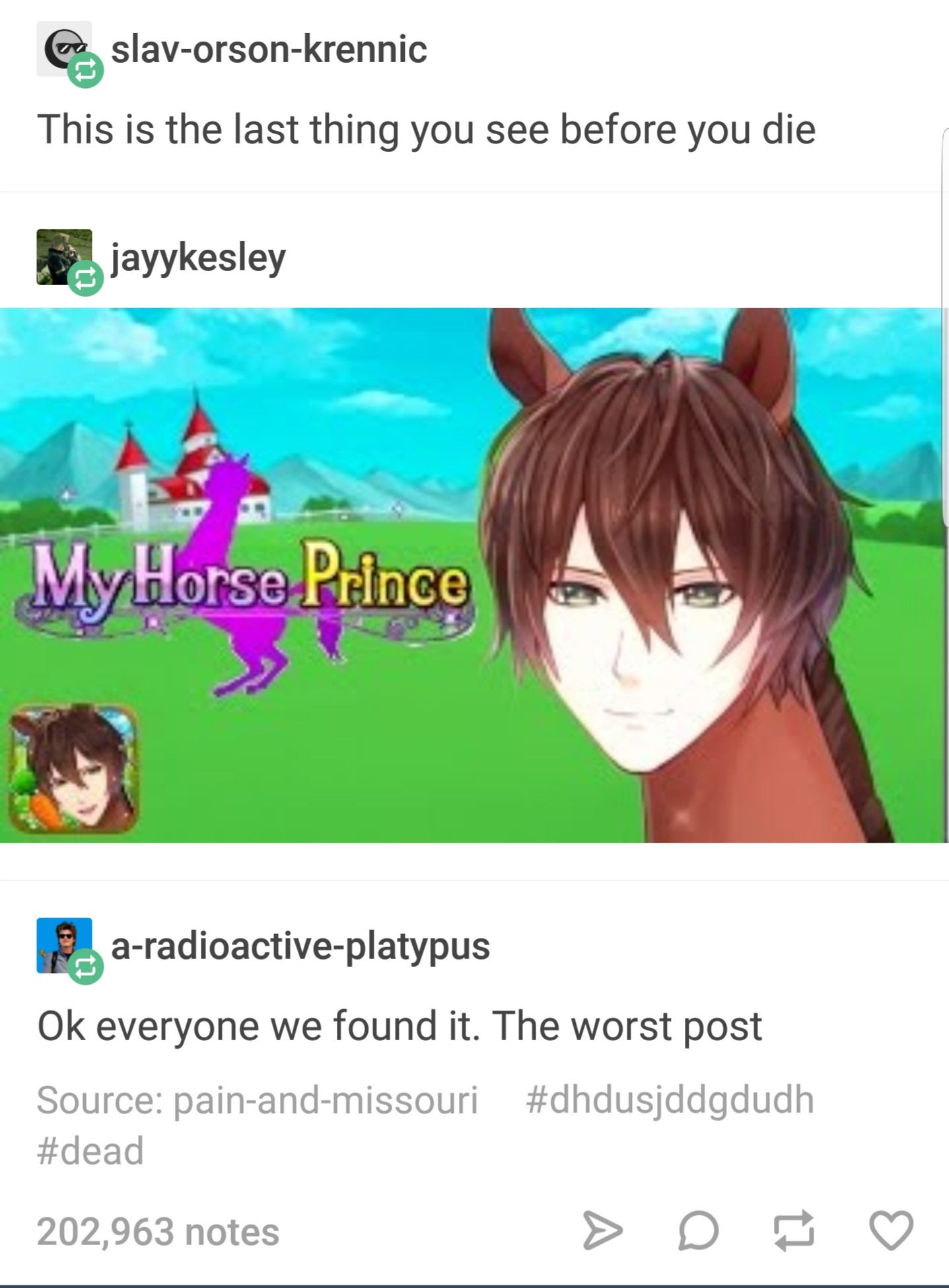 tumblr - my horse prince - slavorsonkrennic This is the last thing you see before you die jayykesley My Horse Prince y Horse Prince F. aradioactiveplatypus Ok everyone we found it. The worst post Source painandmissouri 202,963 notes