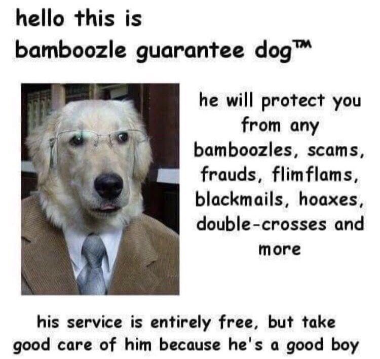 memes - bamboozled dog - hello this is bamboozle guarantee dog he will protect you from any bamboozles, scams, frauds, flimflams, blackmails, hoaxes, doublecrosses and more his service is entirely free, but take good care of him because he's a good boy