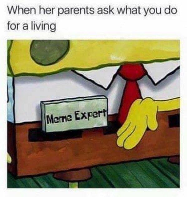 memes - meme expert spongebob - When her parents ask what you do for a living Meme Expert