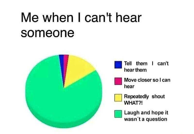 memes - most accurate pie chart - Me when I can't hear someone I can't Tell them hear them Move closer so I can hear Repeatedly shout What?! Laugh and hope it wasn't a question